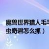 魔獸世界獵人毛毛蟲寶寶（魔獸世界獵人稀有寵物可愛毛毛蟲奇碧怎么抓）