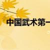 中國武術第一美女（中國武術第一人誰啊）