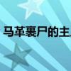 馬革裹尸的主人公（馬革裹尸的主人公是誰）
