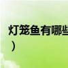 燈籠魚有哪些特點（關于燈籠魚的介紹有哪些）