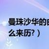 曼珠沙華的由來（曼珠沙華是什么意思?有什么來歷?）