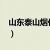 山東泰山煙價格表2020（山東泰山煙價格表）