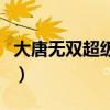 大唐無雙超級會員（誰玩過卓越大唐無雙私服）