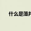 什么是藻井吊頂（什么是藻井天棚呢）