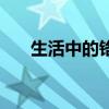生活中的鉻（自然界中的鉻是什么樣）