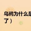 烏鴉為什么是地球的清道夫（烏鴉為什么滅絕了）