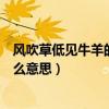 風吹草低見牛羊的見是什么意思（風吹草低見牛羊的見是什么意思）