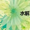 水解反應機理（水解反應）