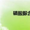 磷酸脲含磷高嗎（磷酸脲是什么）