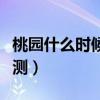 桃園什么時候清園用什么藥（桃園什么時候公測）