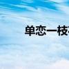 單戀一枝花歌詞（單戀一枝花歌詞）