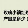 玫瑰小鎮紅玫瑰產量（玫瑰小鎮羽衣金色陽光產量是多少）