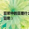 豆漿中的豆是什么豆比較好（怎么樣分辨豆漿精豆漿和豆子豆漿）