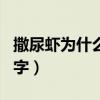 撒尿蝦為什么叫撒尿蝦（有沒有比較文雅的名字）