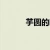 芋圓的吃法大全（芋圓的吃法）