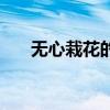 無心栽花的下一句（無心栽花花不開）