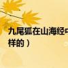 九尾狐在山海經中叫什么（《山海經》中九尾狐的傳說是怎樣的）