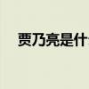 賈乃亮是什么家庭背景（他的父母是誰）