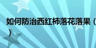 如何防治西紅柿落花落果(如何防治西花薊馬)