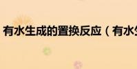 有水生成的置換反應(有水生成的置換反應)