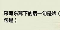 采菊東籬下的后一句是啥(采菊東籬下的后一句是)