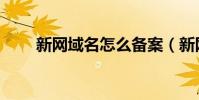 新網域名怎么備案(新網域名管理)