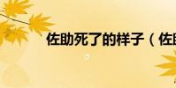 佐助死了的樣子(佐助死了嗎)