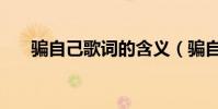 騙自己歌詞的含義(騙自己歌詞全文)