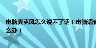 電腦麥克風怎么說不了話(電腦語音通話麥克風不能說話怎么辦)