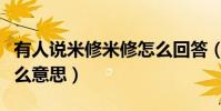 有人說米修米修怎么回答(請問米修米修是什么意思)