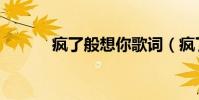 瘋了般想你歌詞(瘋了般想你)