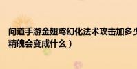 問道手游金翅鳶幻化法術攻擊加多少(問道金翅鳶用了變異精魄會變成什么)