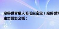 魔獸世界獵人毛毛蟲寶寶(魔獸世界獵人稀有寵物可愛毛毛蟲奇碧怎么抓)