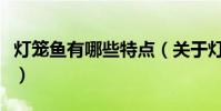 燈籠魚有哪些特點(關于燈籠魚的介紹有哪些)