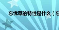 忘憂草的特性是什么(忘憂草的歌詞)