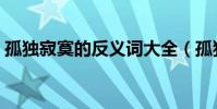 孤獨寂寞的反義詞大全(孤獨寂寞的反義詞)