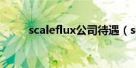 scaleflux公司待遇(scaleform)