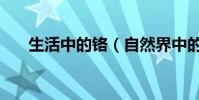 生活中的鉻(自然界中的鉻是什么樣)