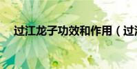 過江龍子功效和作用(過江龍子是什么)