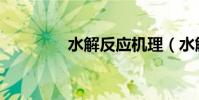 水解反應機理(水解反應)