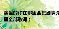親愛的你在哪里全集劇情介紹(親愛的你在哪里全部歌詞)