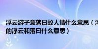 浮云游子意落日故人情什么意思(浮云游子意落日故人情中的浮云和落曰什么意思)