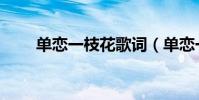 單戀一枝花歌詞(單戀一枝花歌詞)