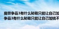 魔獸爭霸3有什么秘籍只能讓自己加錢,不給電腦加錢(魔獸爭霸3有什么秘籍只能讓自己加錢不給電腦加)
