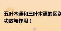 五葉木通和三葉木通的區別(五葉木通有什么功效與作用)