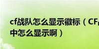 cf戰隊怎么顯示徽標(CF戰隊的隊徽在游戲中怎么顯示啊)