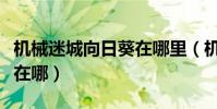 機械迷城向日葵在哪里(機械迷城第八關葵花在哪)