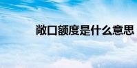 敞口額度是什么意思(敞口費)