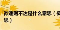 欲速則不達是什么意思(欲速則不達是什么意思)