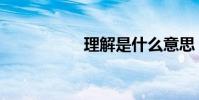 理解是什么意思(、)